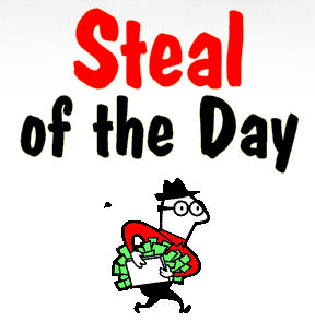 Steal Of The Day - Get a GREAT Domain For Under $20!